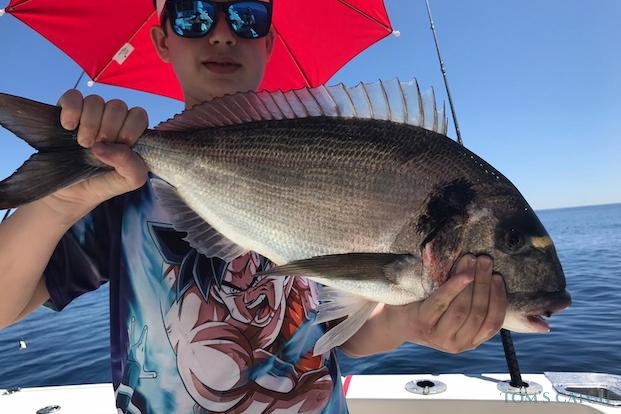 Pesca de Dorada