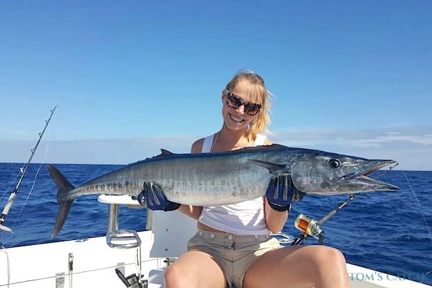 Wahoo Pesca