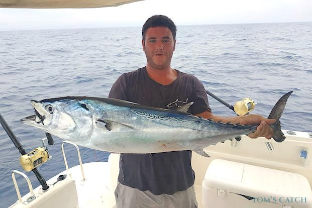 Little tunny fishing