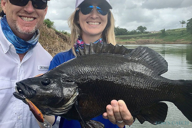 Sooty Grunter fishing