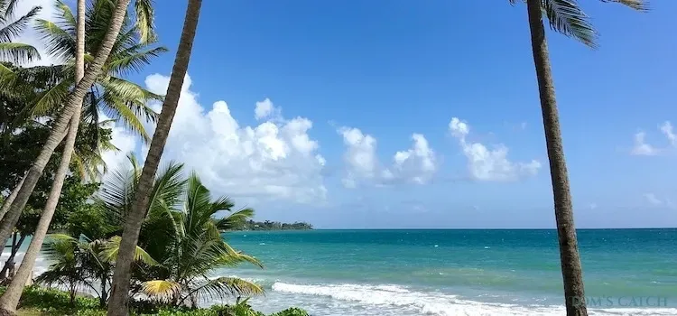 Martinique fishing zone