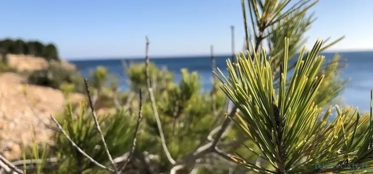 Fishing area Sardinia