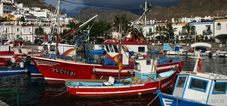 Tenerife fishing zone