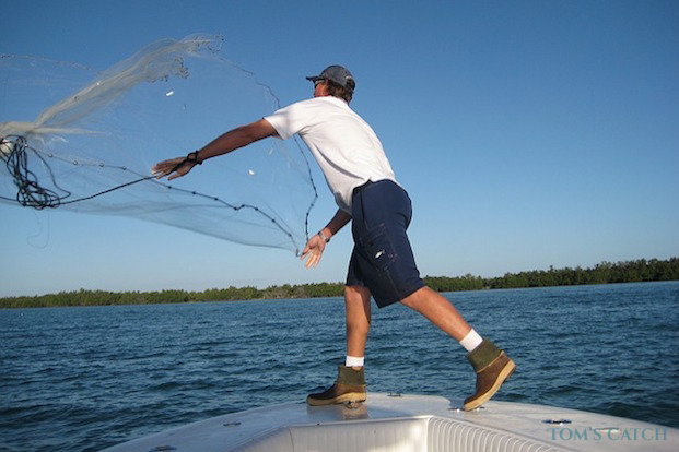 Live bait fishing