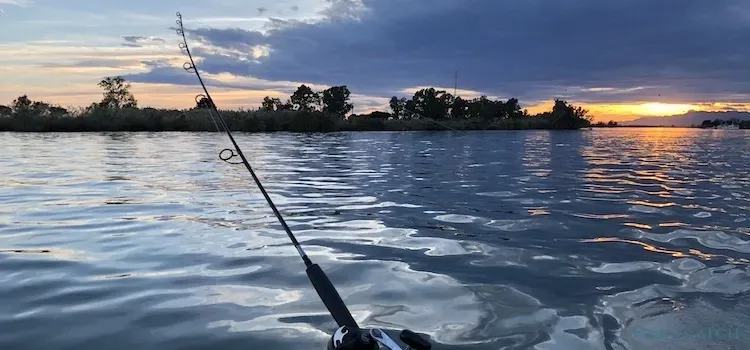 Ebro Delta zona de pesca