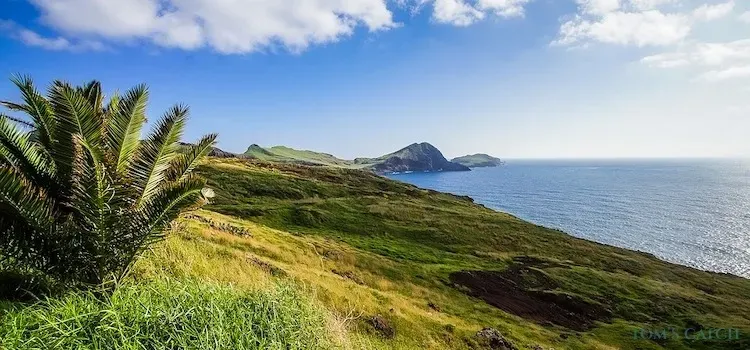 Madeira zona de pesca