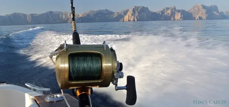 Zona de pesca Mallorca