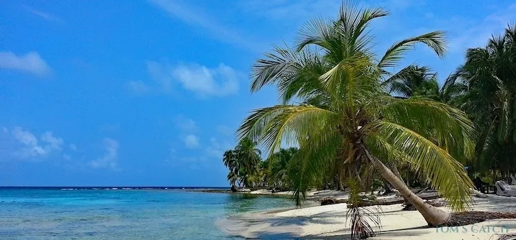 Zona de pesca Panamá