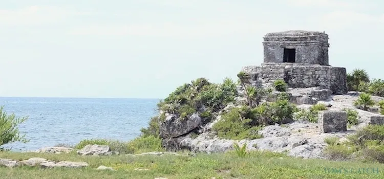 Zona de pesca Puerto Aventuras