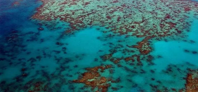 Zona de pesca Queensland