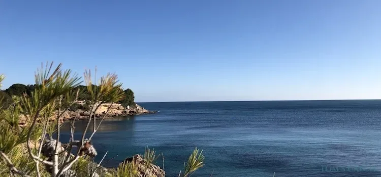 Zone de pêche Ametlla de Mar