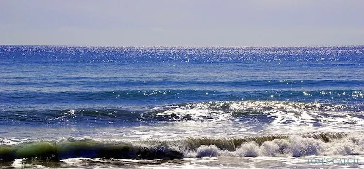 Zone de pêche Salou